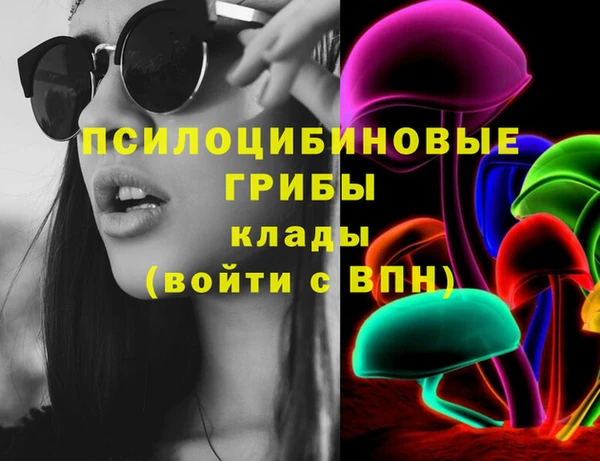молекула духа Алексин