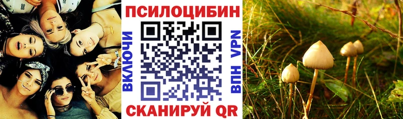 где найти   Павловский Посад  Псилоцибиновые грибы мухоморы 
